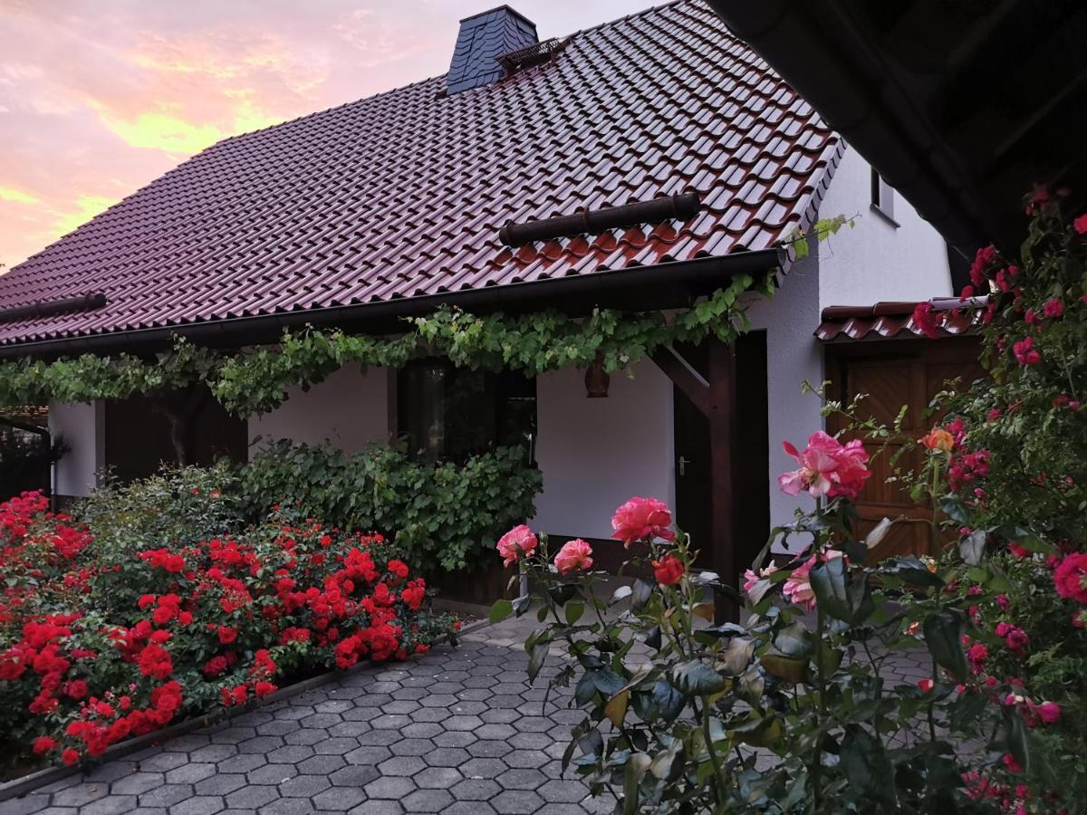 Ferienhaus Rosenhof Glaubitz Exterior photo